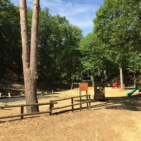 Climatise Dans Un Bel Ecrin De Nature キャンプ場 *